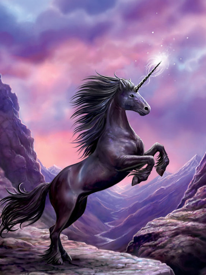 Detail Unicorn Hd Wallpaper Nomer 23