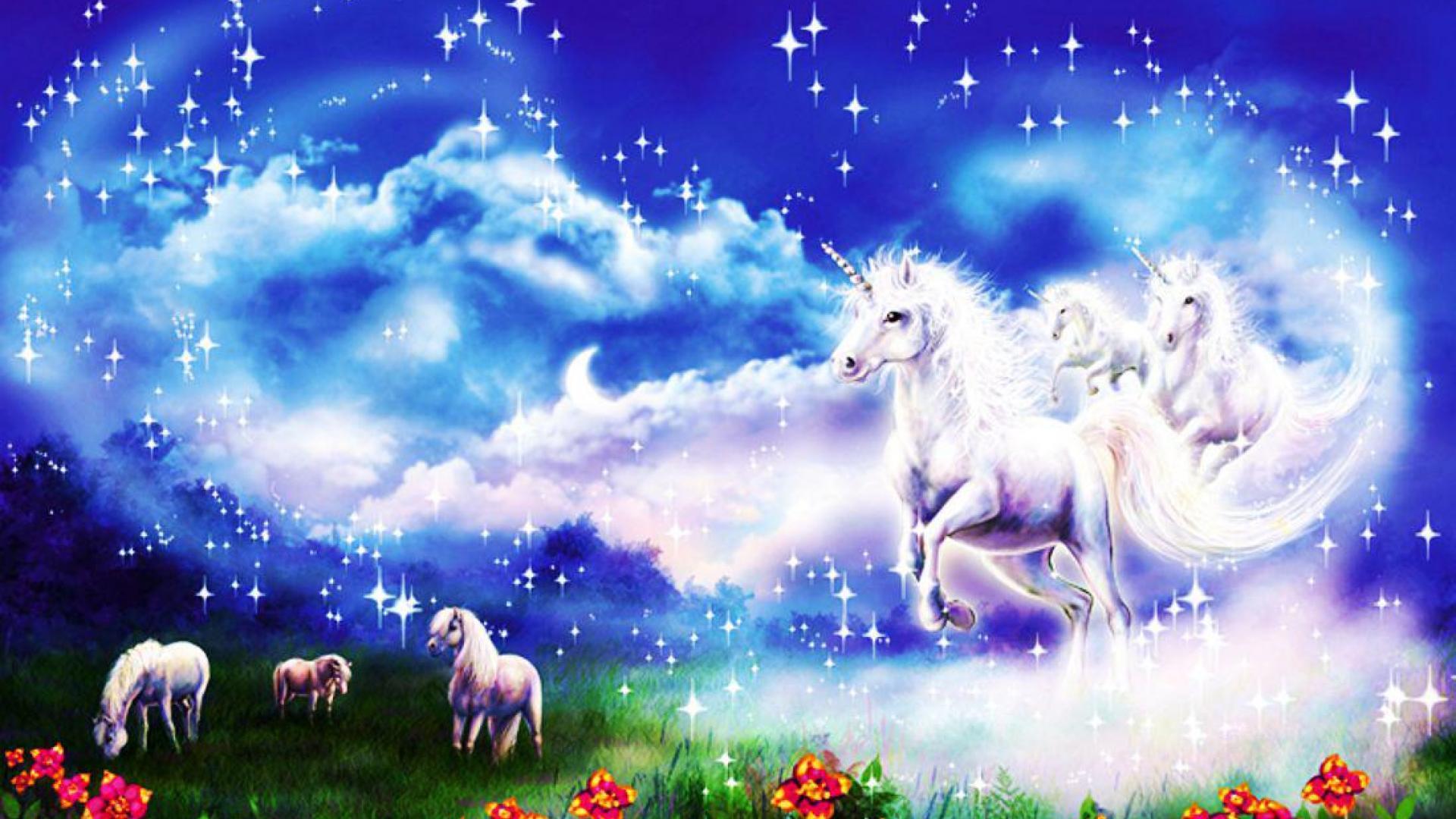 Detail Unicorn Hd Wallpaper Nomer 30