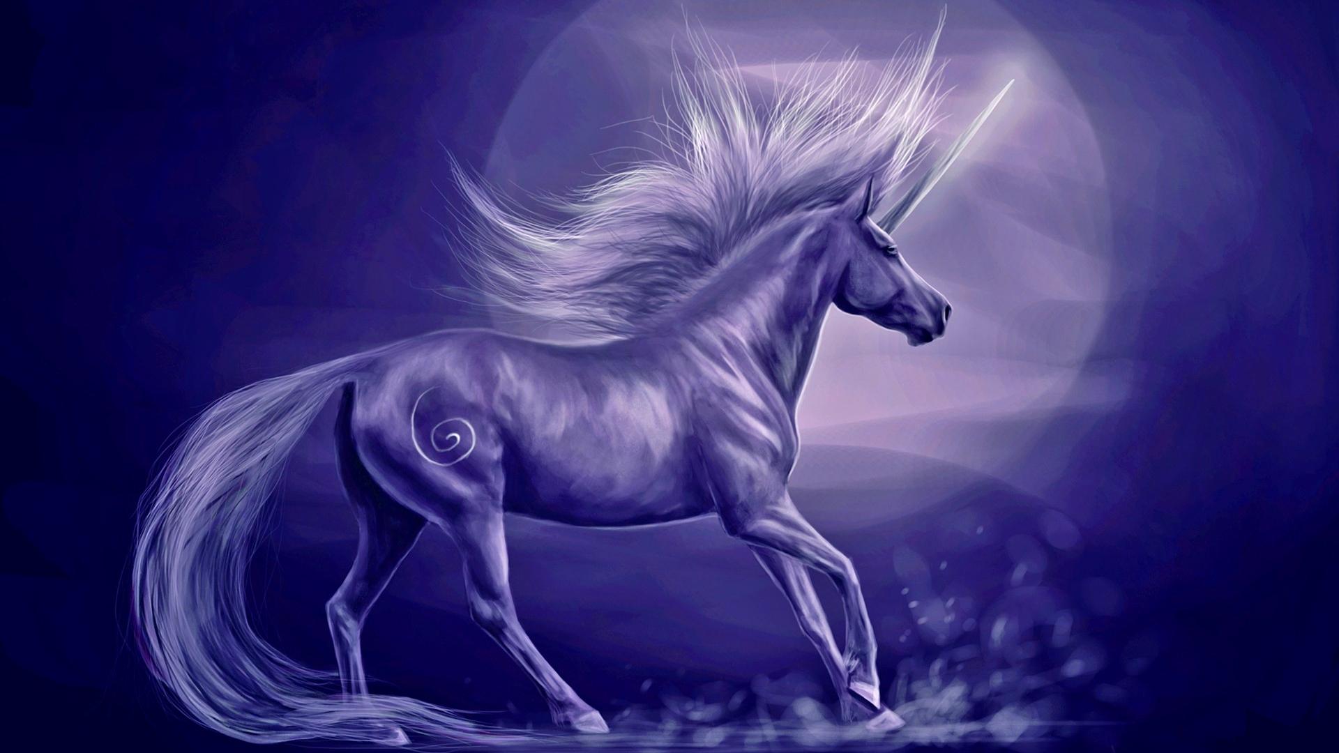 Detail Unicorn Hd Wallpaper Nomer 38