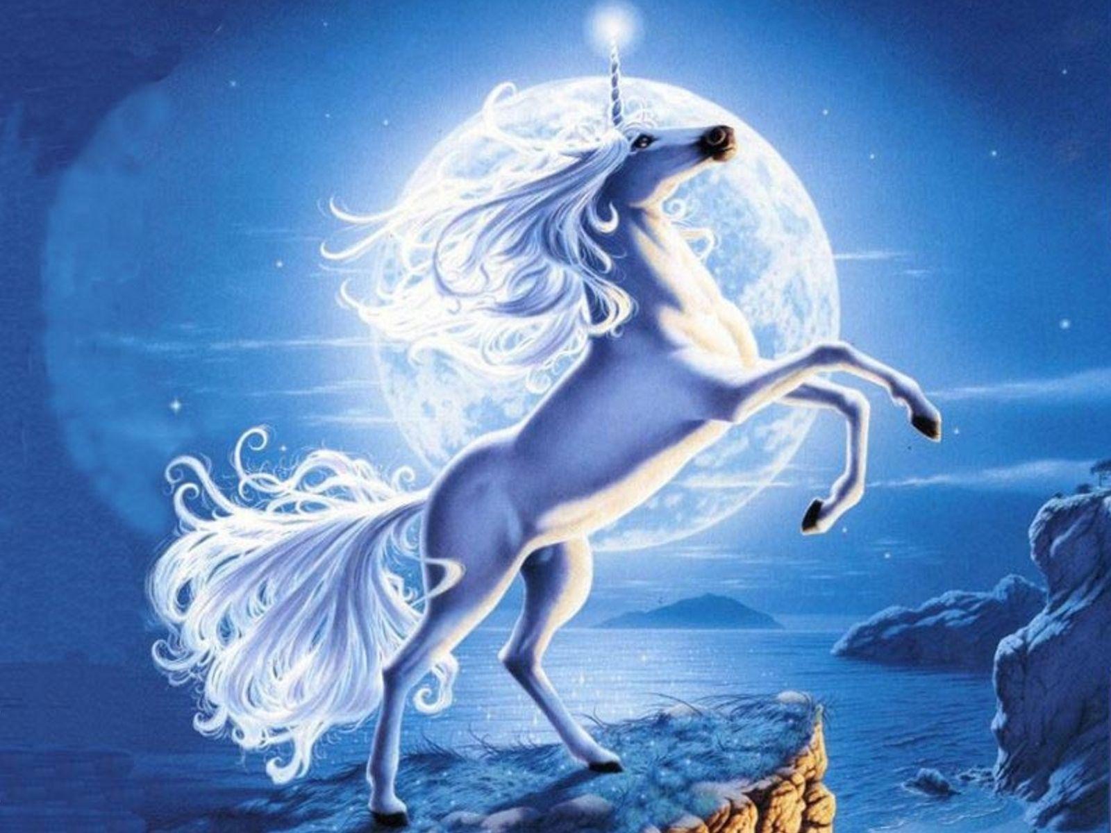 Detail Unicorn Hd Wallpaper Nomer 44