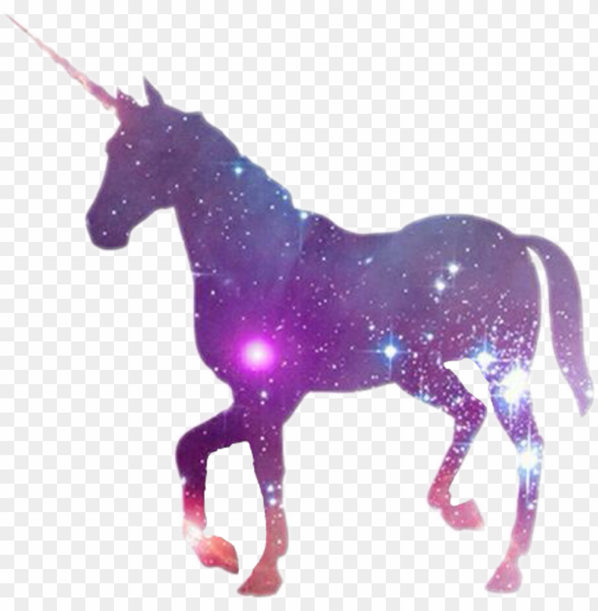 Detail Unicorn Png File Nomer 27