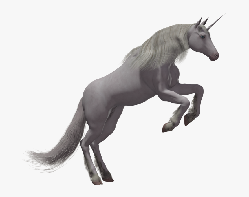 Detail Unicorn Png File Nomer 38