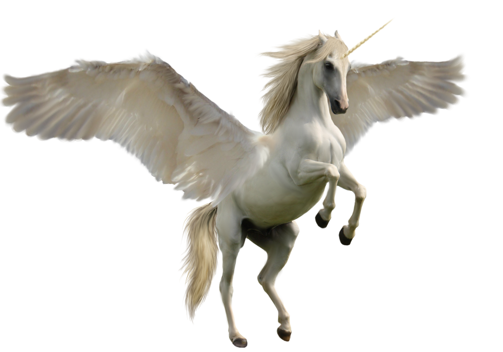 Detail Unicorn Png Image Nomer 44