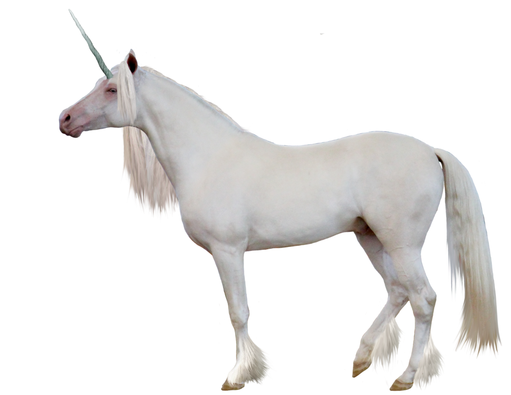 Detail Unicorn Pngs Nomer 43