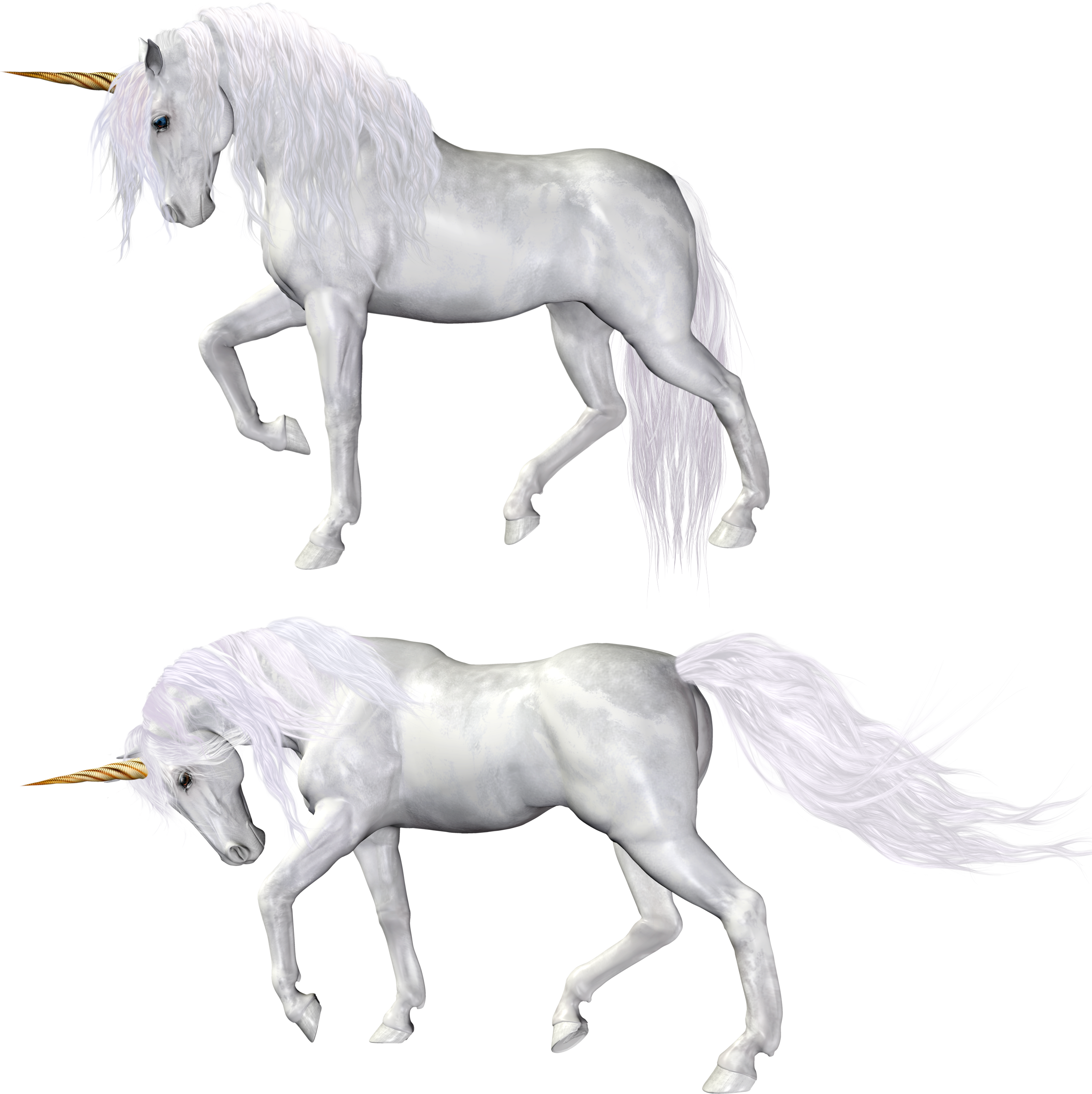 Detail Unicorn Transparent Background Nomer 35