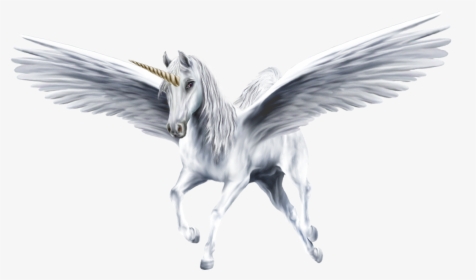 Detail Unicorn With Transparent Background Nomer 49