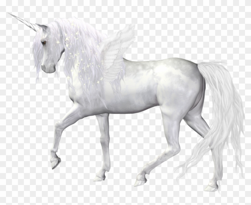 Detail Unicorns Transparent Nomer 43