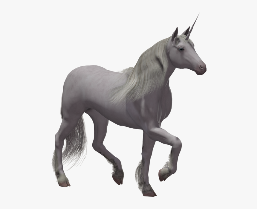 Detail Unicorns Transparent Nomer 44