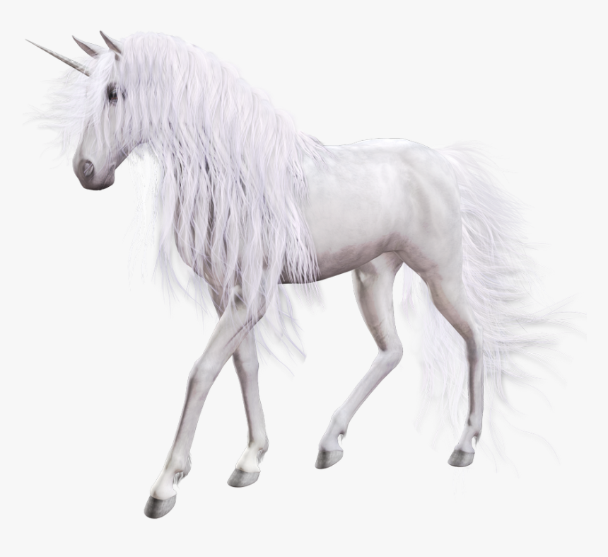 Detail Unicorns Transparent Nomer 50