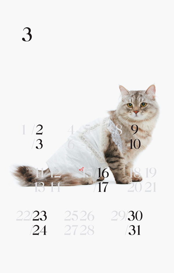 Detail United Bamboo Cat Calendar Nomer 43