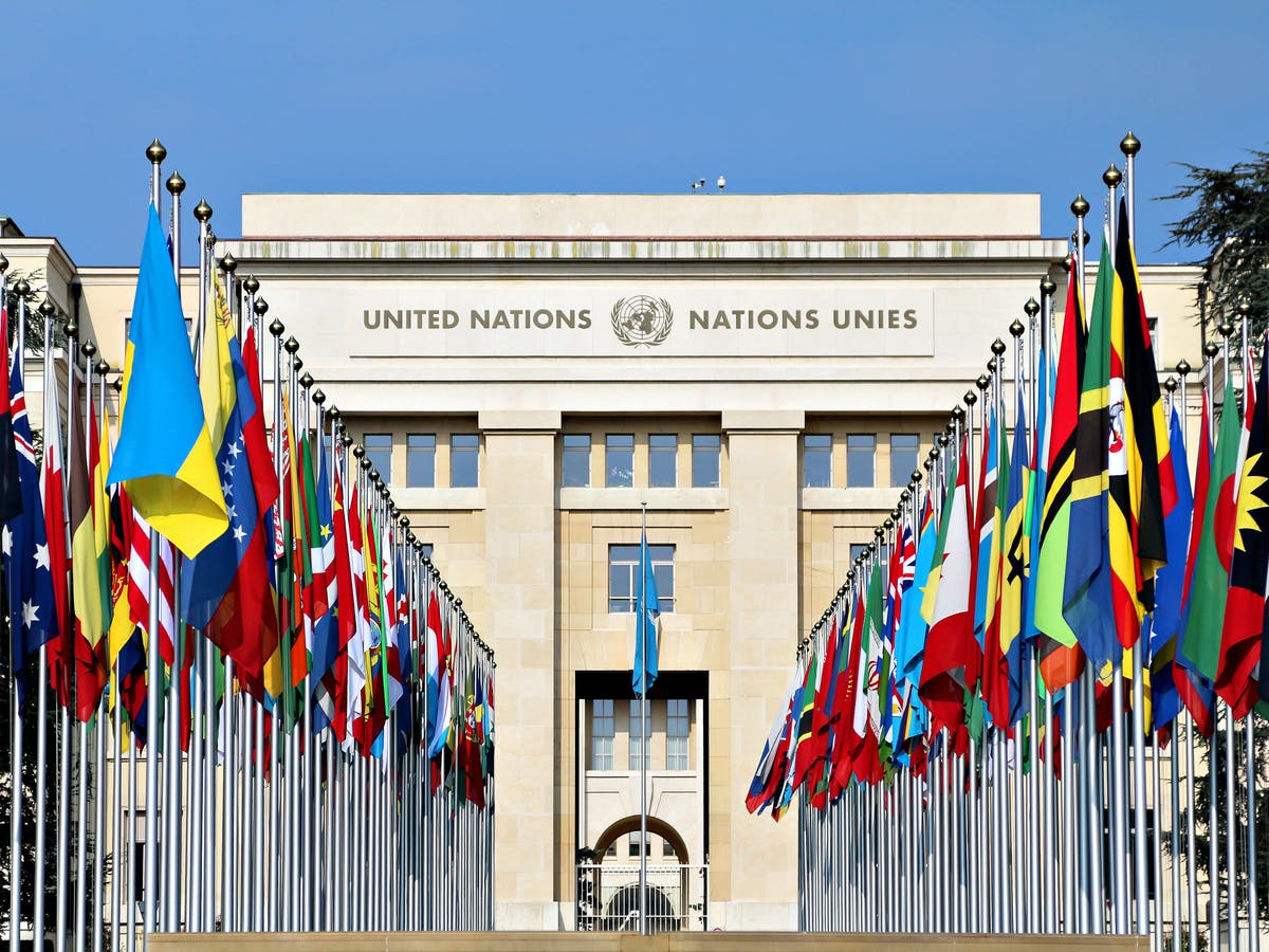 Detail United Nations Image Nomer 16