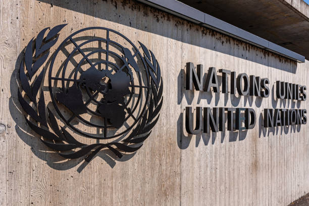 Detail United Nations Logo Nomer 15