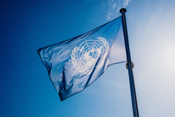 Detail United Nations Logo Nomer 20