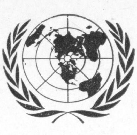 Detail United Nations Logo Nomer 36