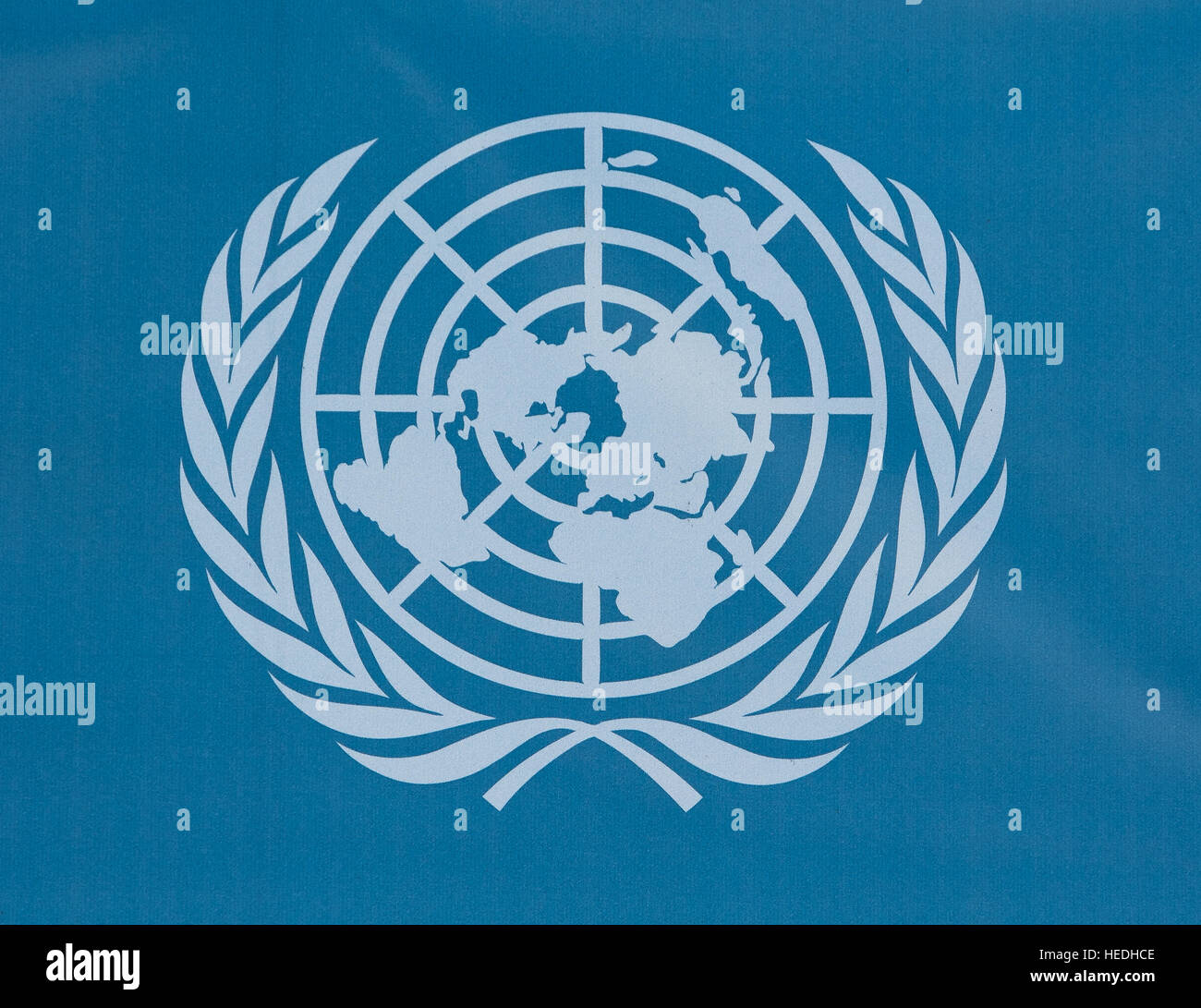 Detail United Nations Logo Nomer 7