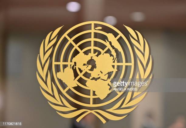 Detail United Nations Organisation Emblem Nomer 26