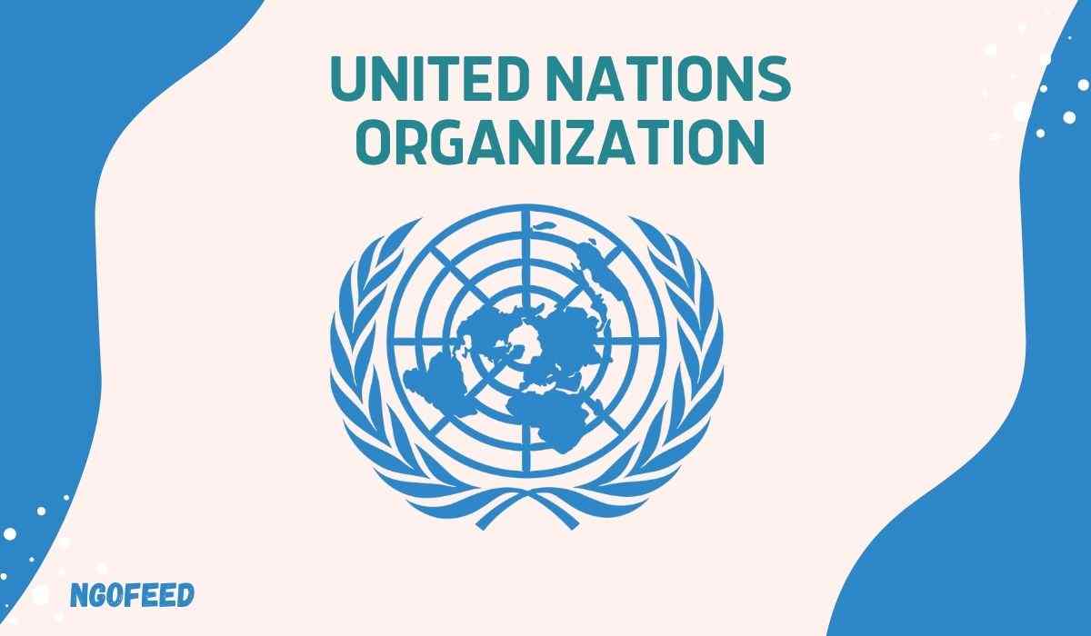 Detail United Nations Organisation Images Nomer 19