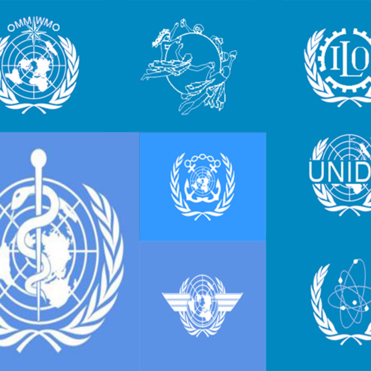 Detail United Nations Organisation Images Nomer 37