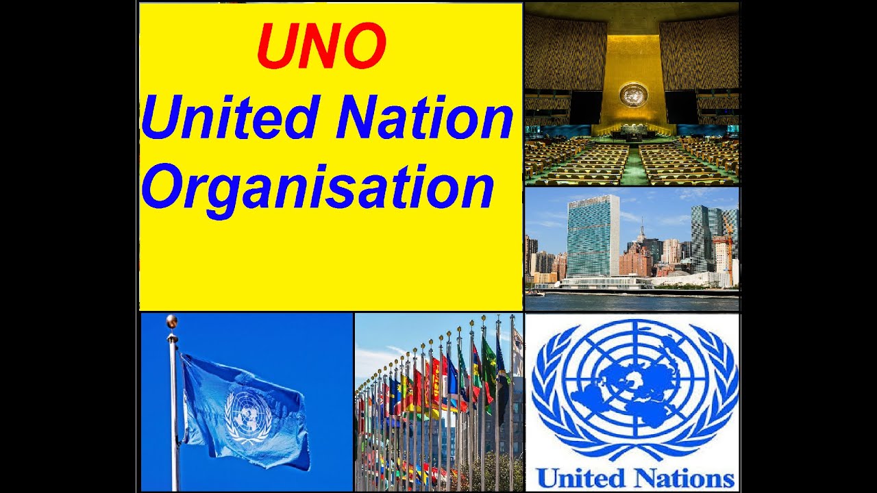 Detail United Nations Organisation Images Nomer 42