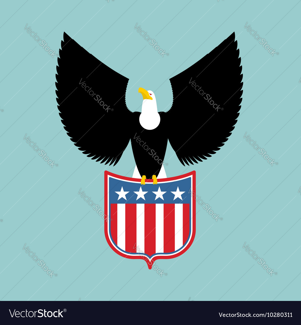 Detail United States Of America Coat Of Arms Nomer 22