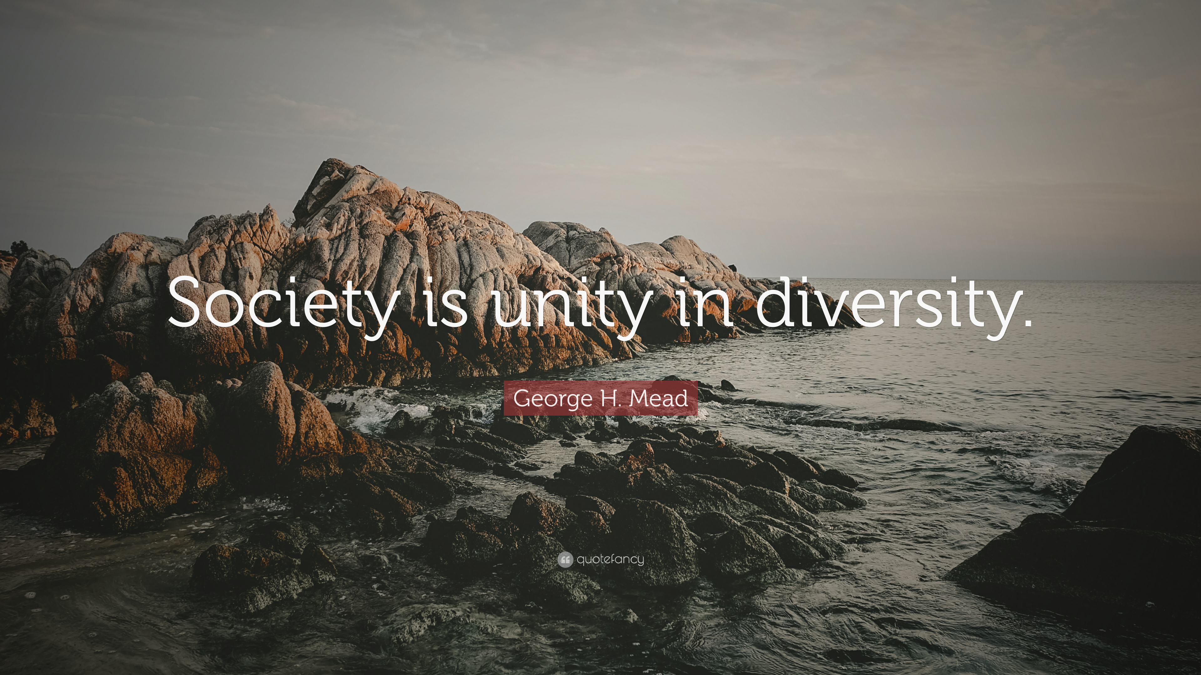 Detail Unity In Diversity Quotes Nomer 38