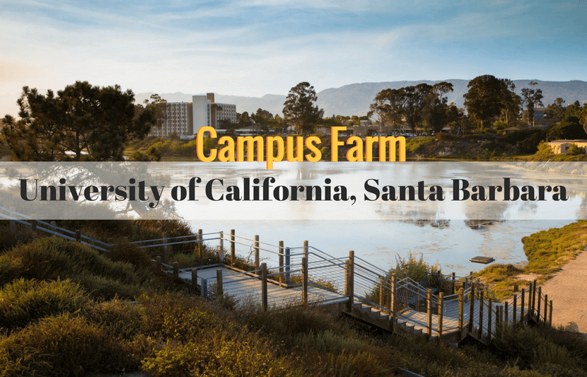 Detail Universitas California Selatan Nomer 32