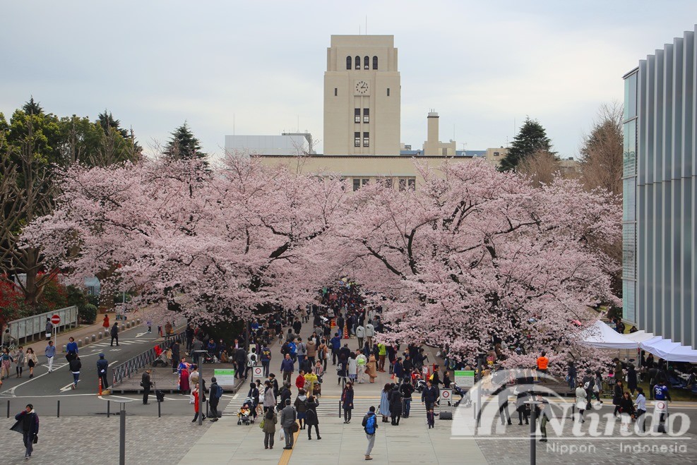 Detail Universitas Di Tokyo Nomer 38