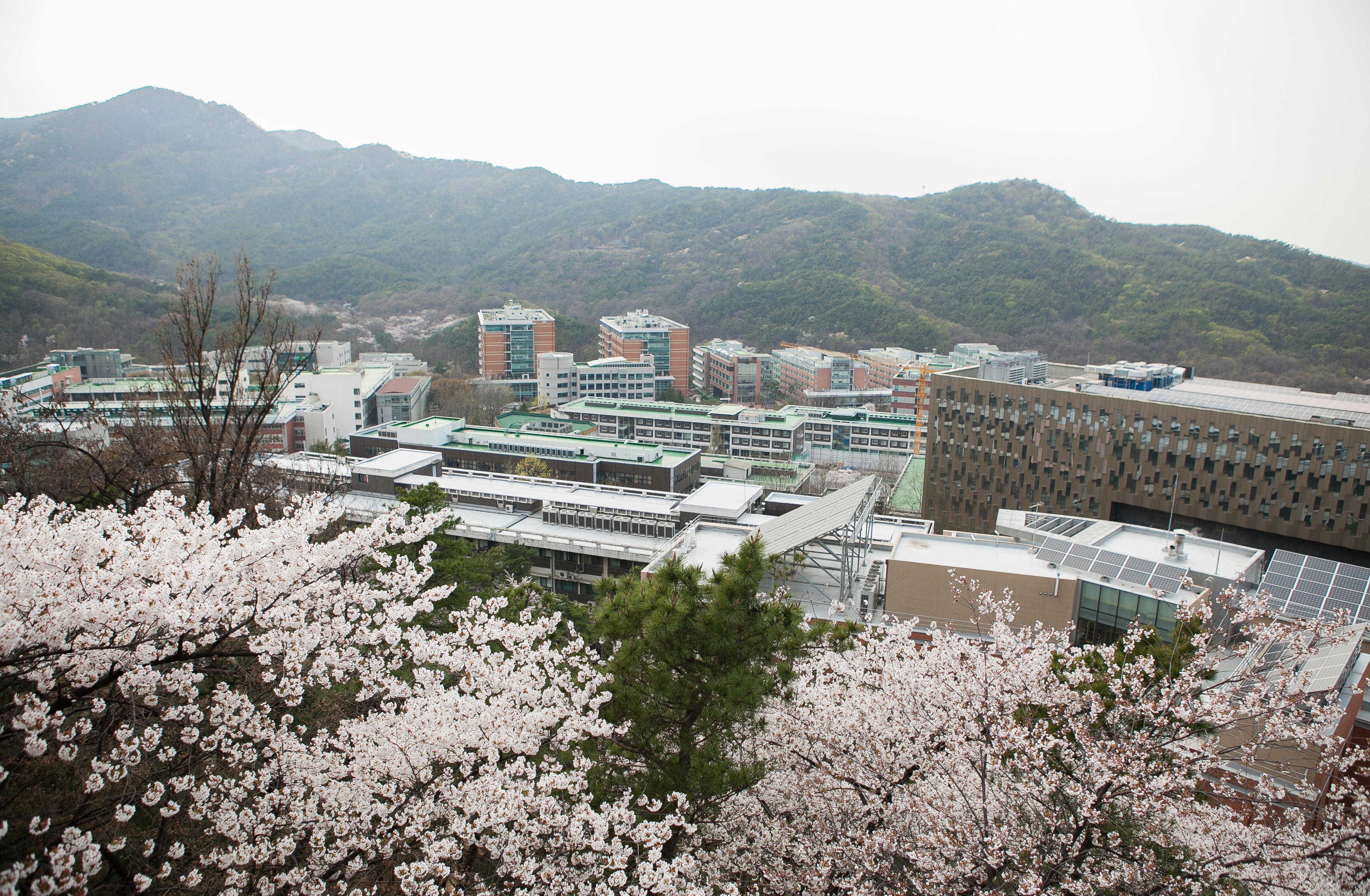 Detail Universitas Nasional Seoul Nomer 6