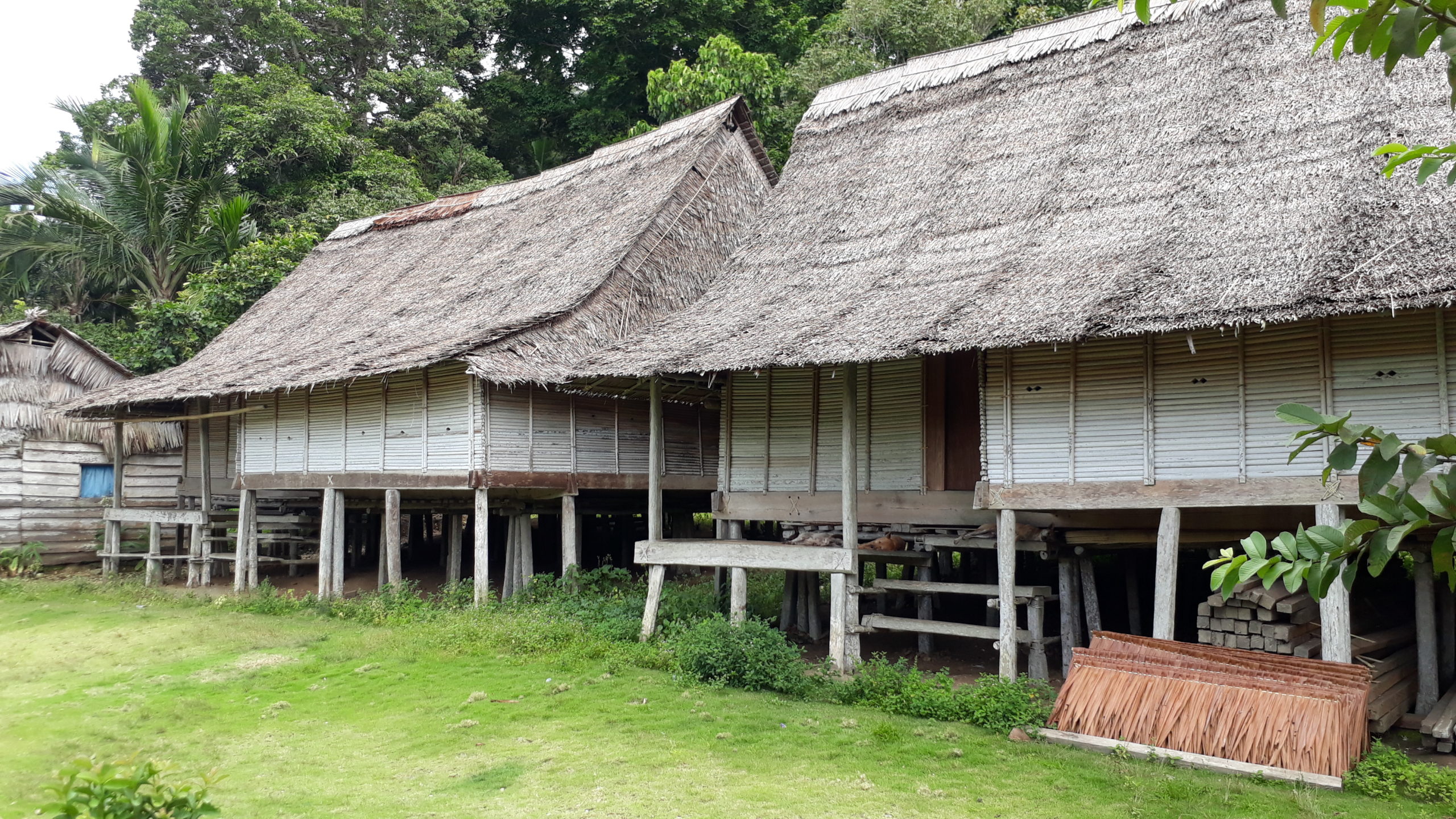 Detail Rumah Adat Daerah Maluku Nomer 49