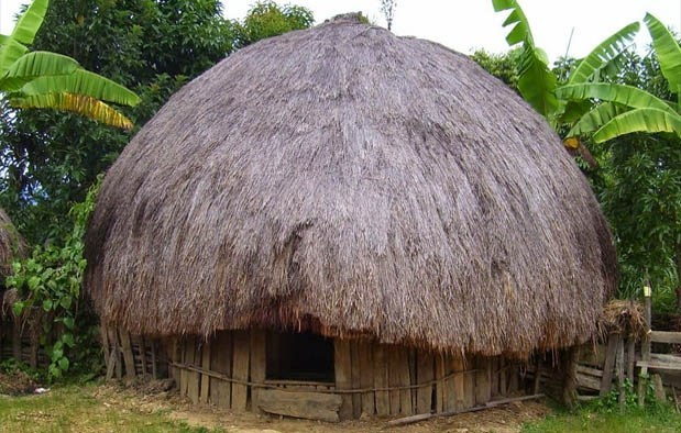 Detail Rumah Adat Daerah Papua Nomer 11