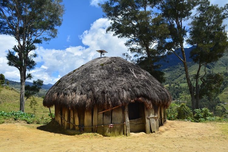 Detail Rumah Adat Daerah Papua Nomer 3