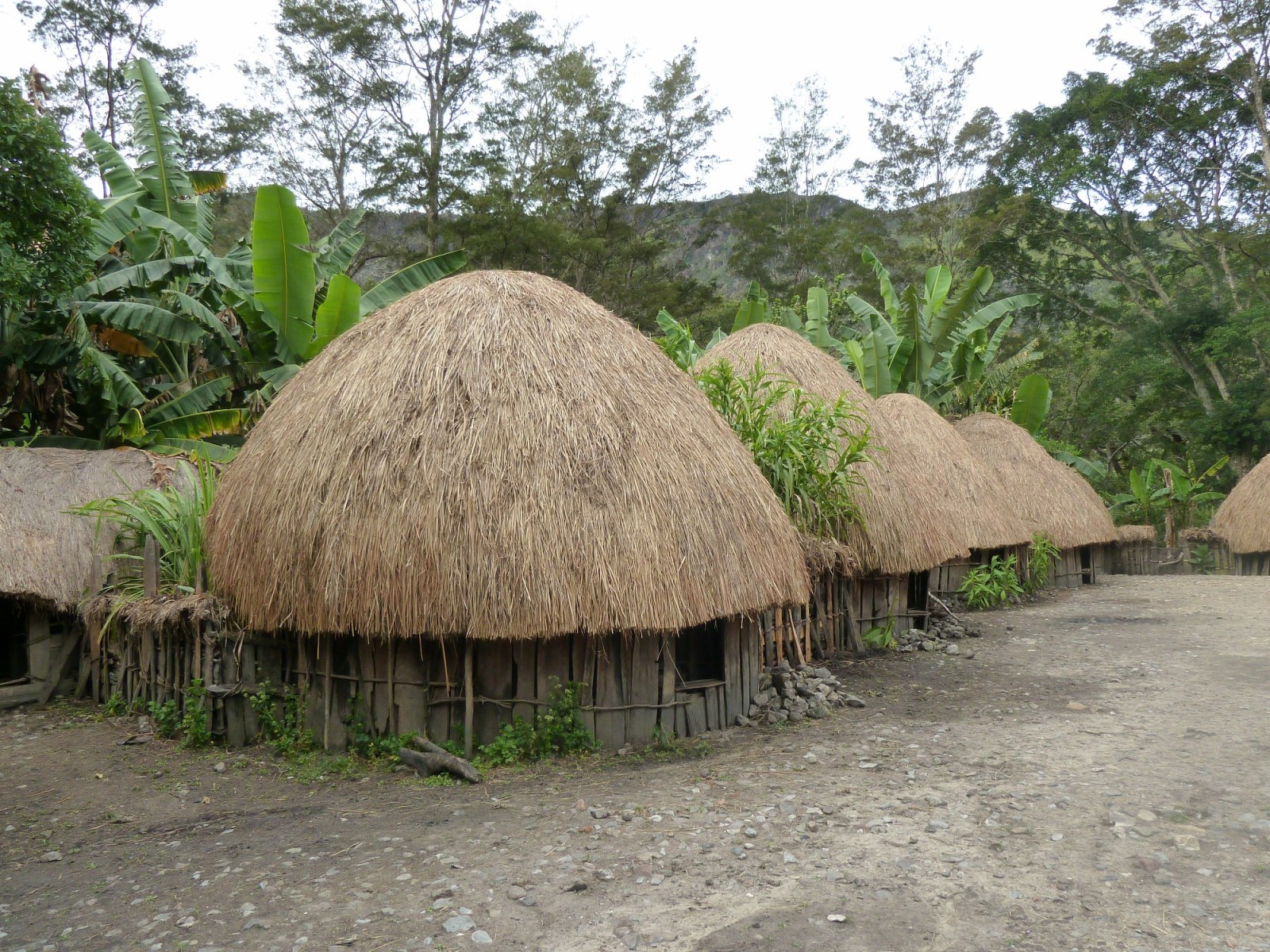 Detail Rumah Adat Daerah Papua Nomer 22
