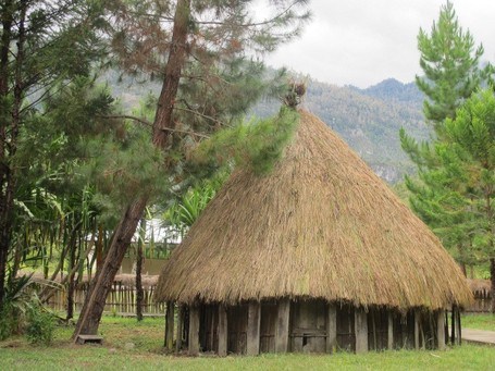 Detail Rumah Adat Daerah Papua Nomer 32