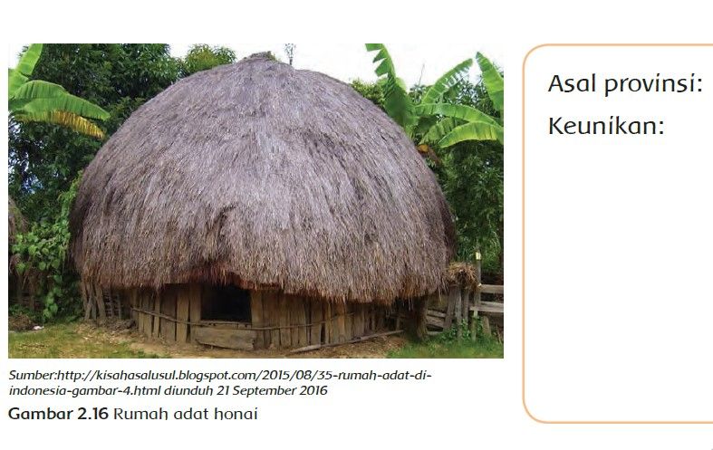 Detail Rumah Adat Daerah Papua Nomer 34