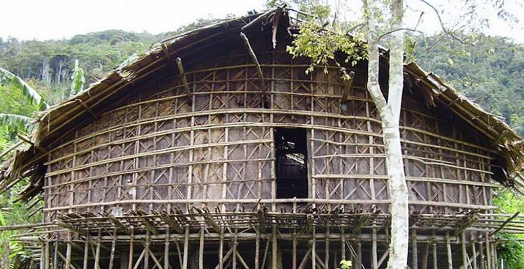 Detail Rumah Adat Daerah Papua Nomer 44
