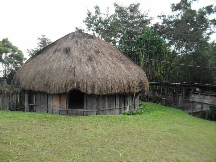 Detail Rumah Adat Daerah Papua Nomer 45