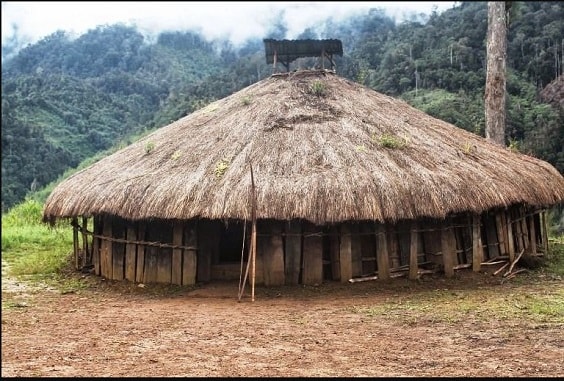 Detail Rumah Adat Daerah Papua Nomer 47