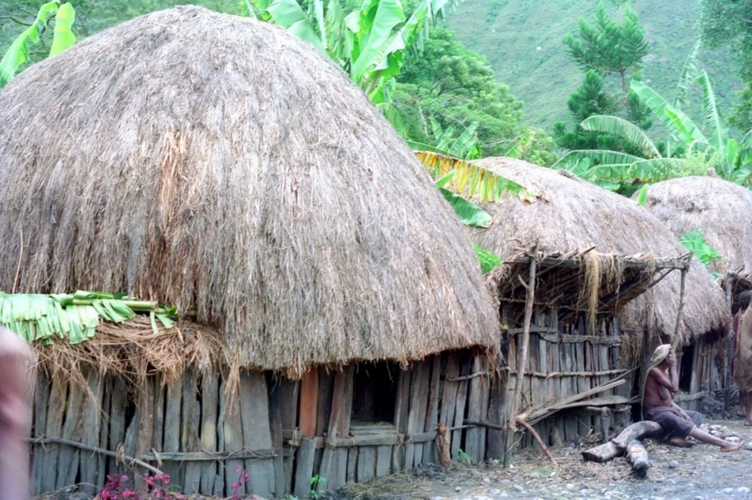 Detail Rumah Adat Daerah Papua Nomer 56