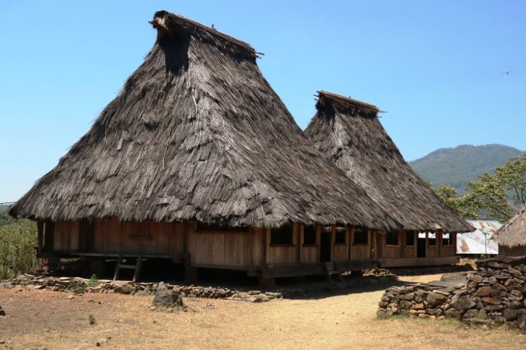 Rumah Adat Ende Lio 42+ Koleksi Gambar