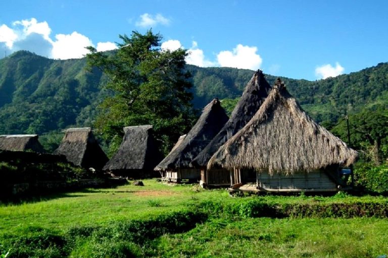 Rumah Adat Ende Lio 42+ Koleksi Gambar