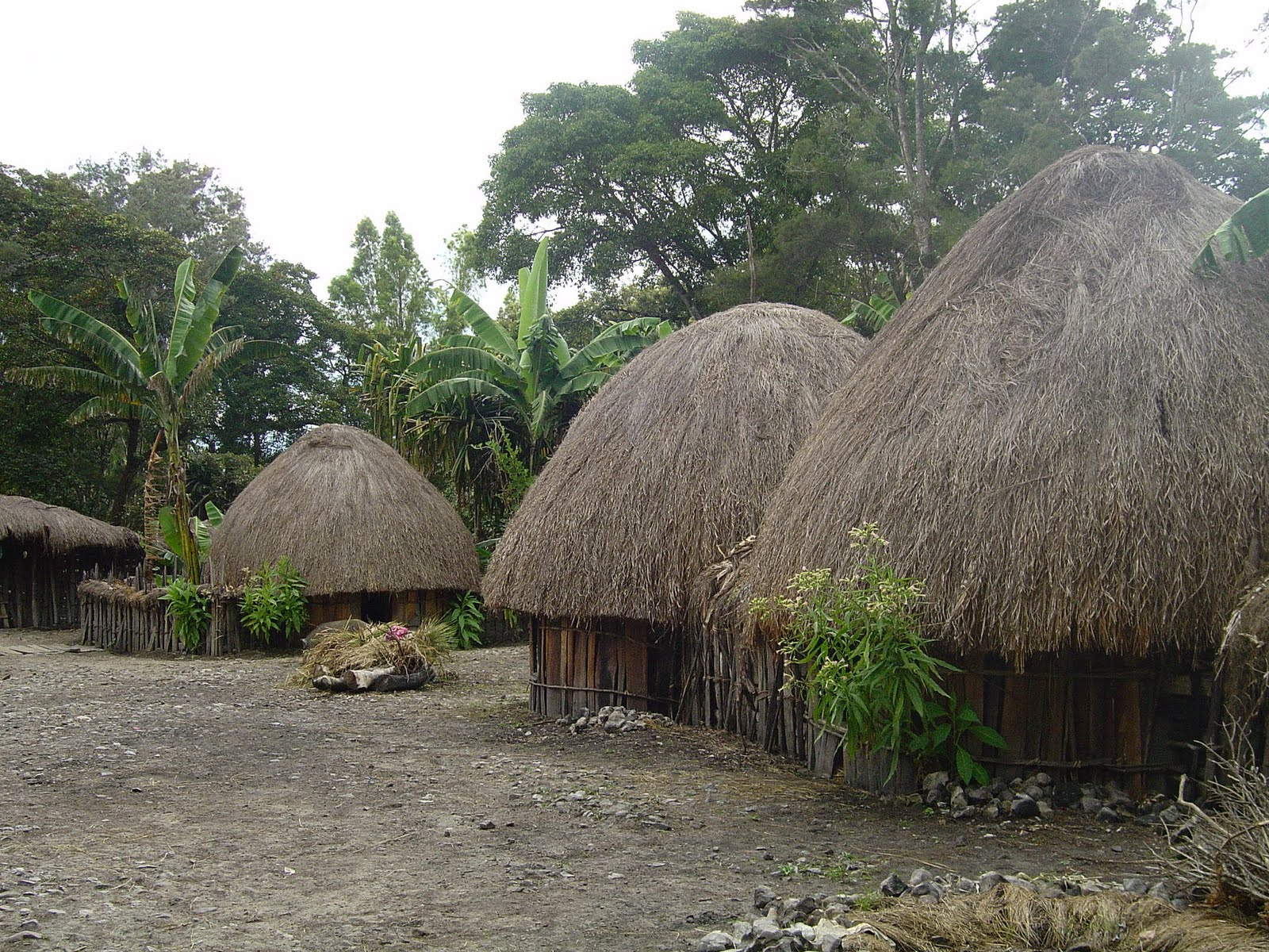 Detail Rumah Adat Honai Nomer 49