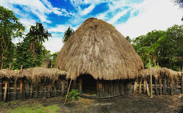 Detail Rumah Adat Honai Asal Provinsi Nomer 14