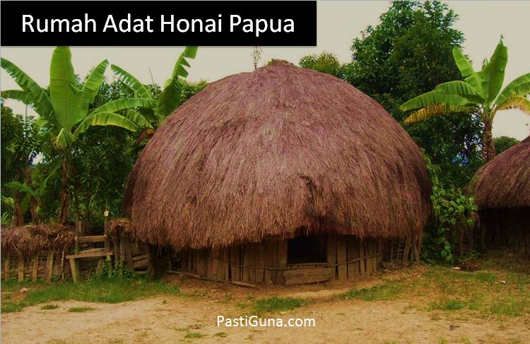 Detail Rumah Adat Honai Asal Provinsi Nomer 27