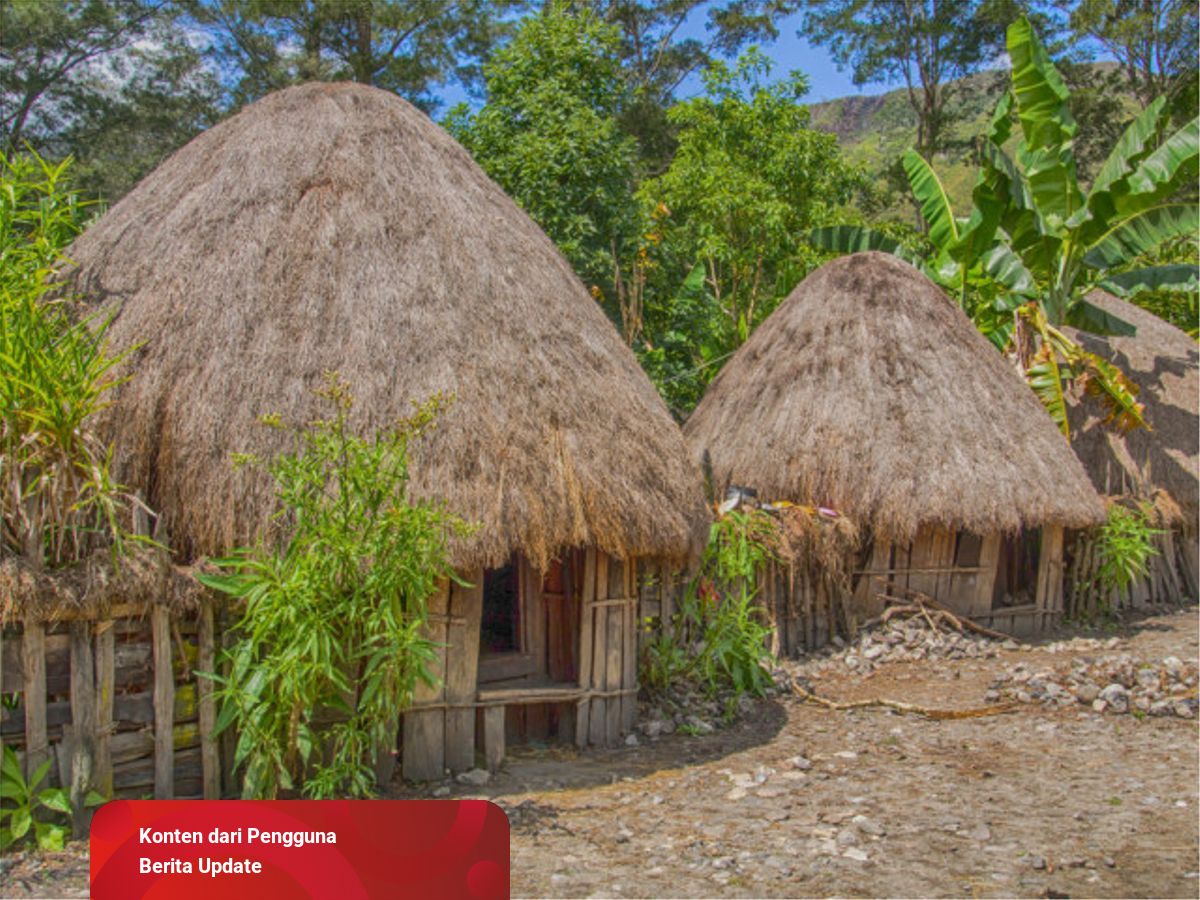 Detail Rumah Adat Honai Berasal Dari Nomer 12