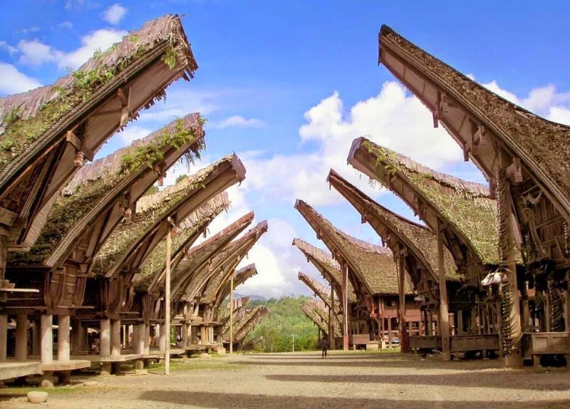 Detail Rumah Adat Khas Toraja Nomer 17