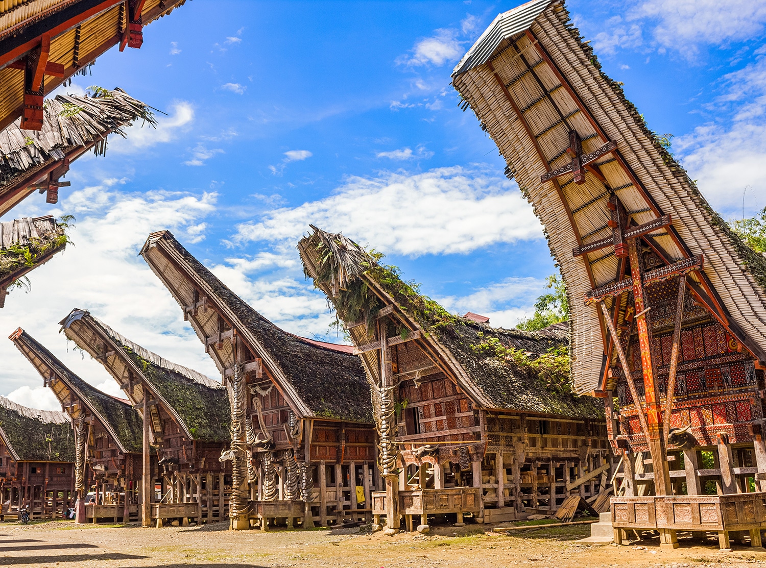 Detail Rumah Adat Khas Toraja Nomer 47