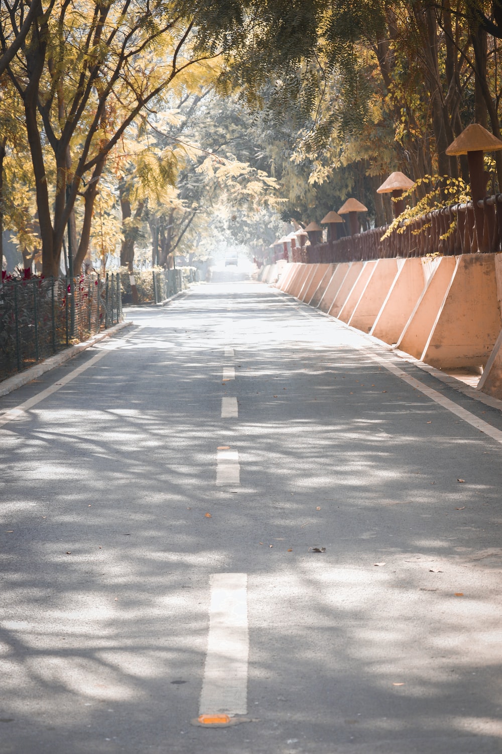 Unsplash Background For Editing - KibrisPDR
