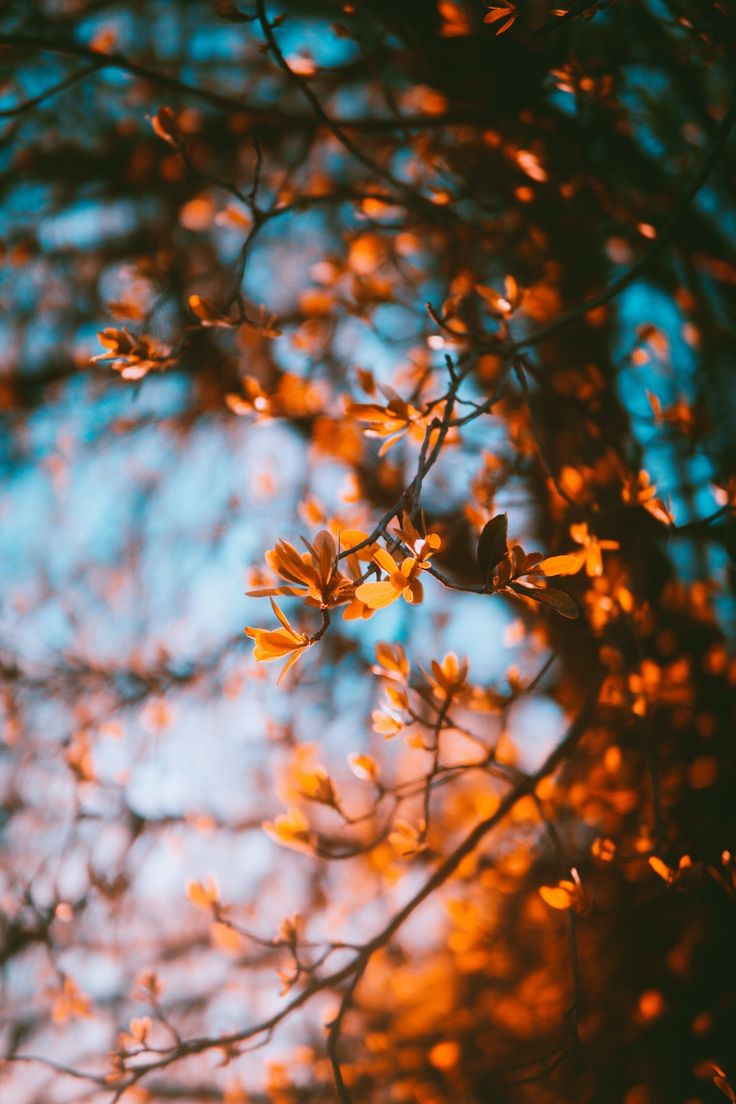 Detail Unsplash Background For Editing Nomer 25