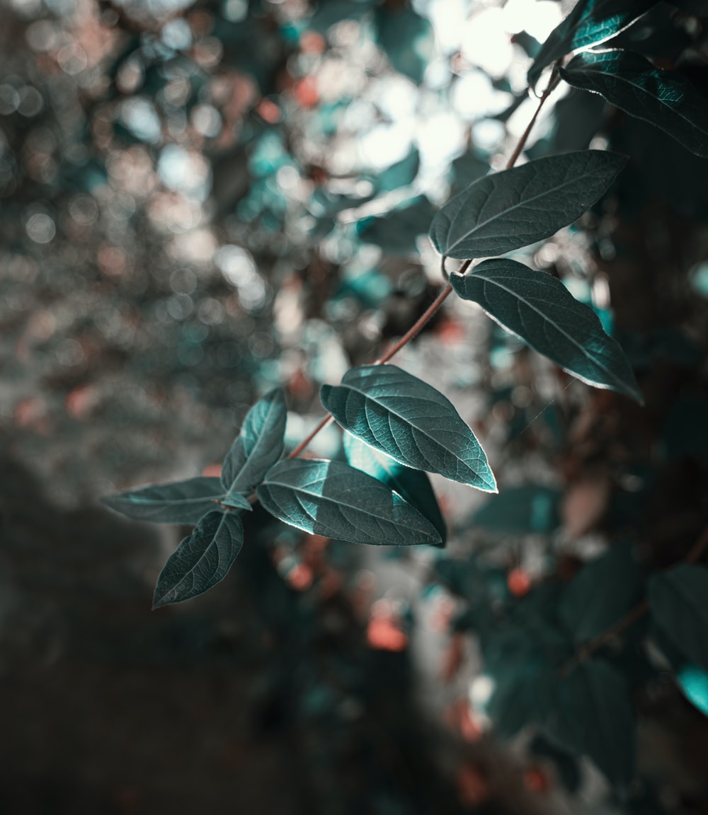 Detail Unsplash Background For Editing Nomer 27