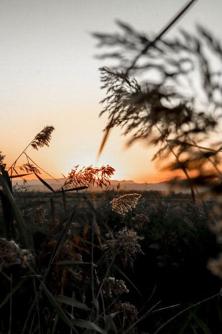 Detail Unsplash Background For Editing Nomer 36